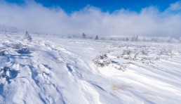 印度罕见寒潮来袭！Flipkart这些品类需求大增