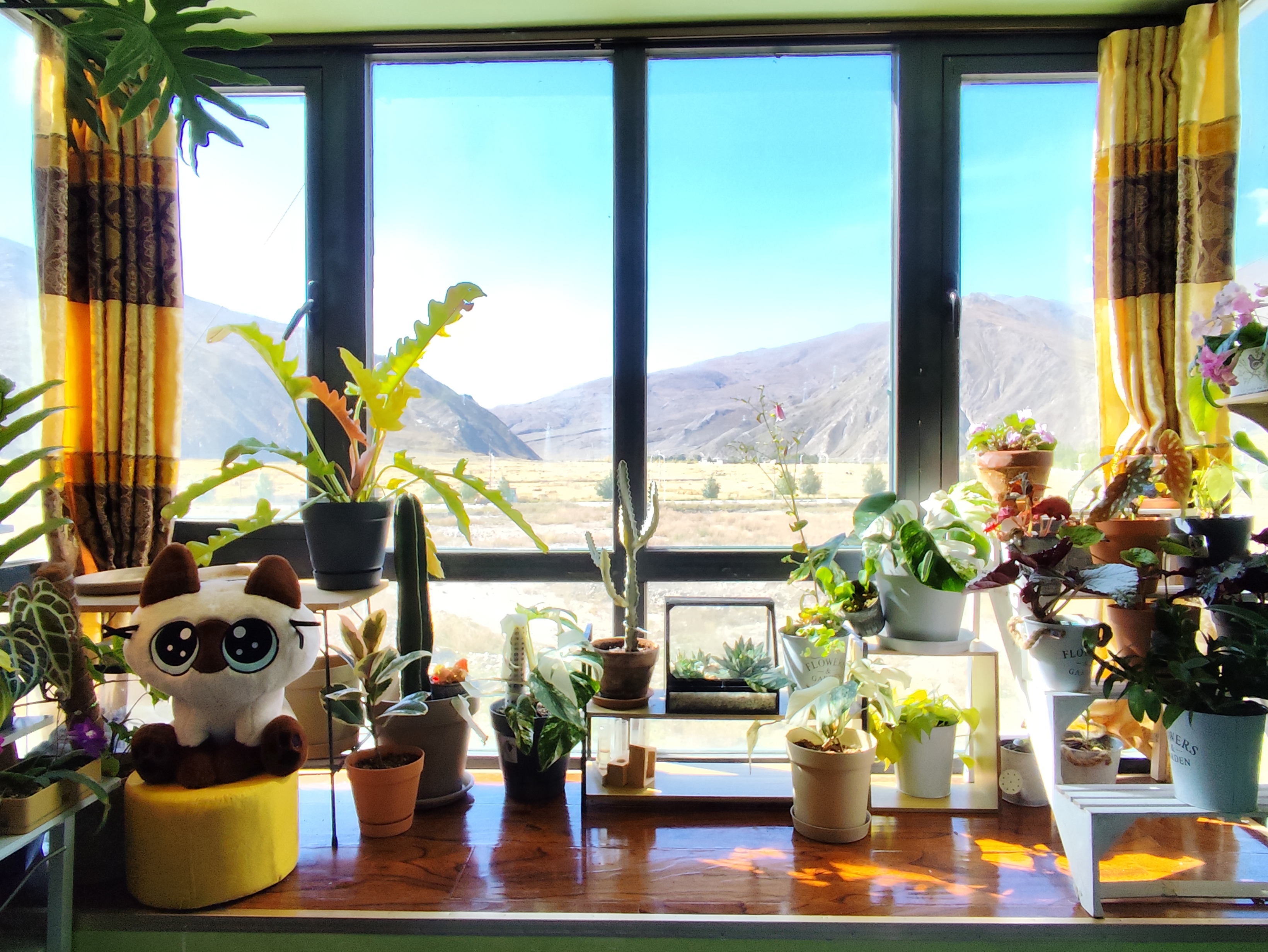 1764215355903317.jpg 1.jpg